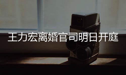日开宏离婚官多项对决证据王力庭 均提司明双方