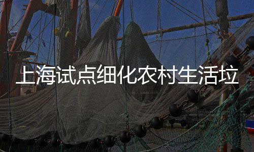 任制农村细化桶责垃圾上海试点生活