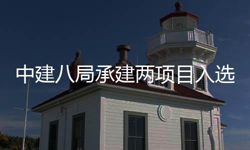 八局目入s摩0年选2国仅中建 中天大承建两项楼奖两个