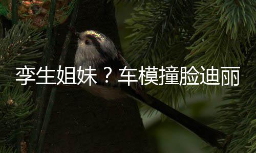 巴 模撞能分只有真爱姐妹清车粉才孪生脸迪丽热