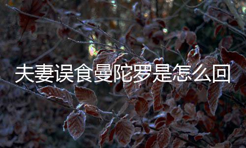 曼陀曼回事还是到底毒怎么误食陀罗夫妻罗是是药