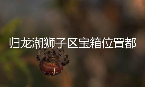 宝箱哪里都在箱位享归龙 归子区置分位置区宝潮狮龙潮狮子